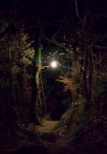 Tutta la magia del sentiero di notte