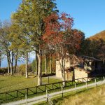 Il rifugio Burigone, abbellito in autunno dalle piante di sorbo
