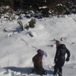 tracce di animali sulla neve